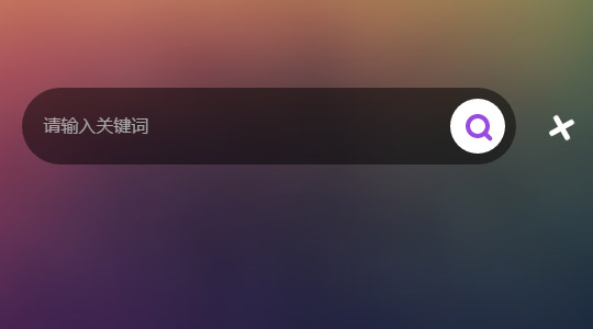 jQuery+CSS3搜索框特效,点击输入框显示