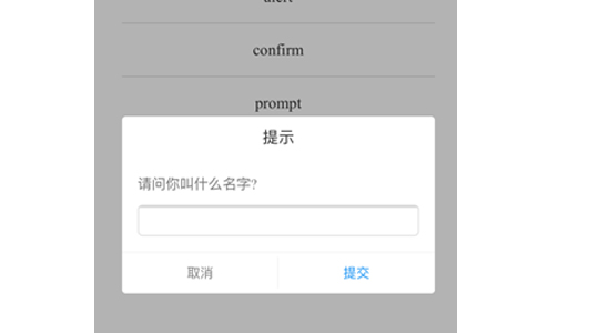 手机弹出层插件 手机弹窗提示框，自定义弹窗内容，居左对齐显示