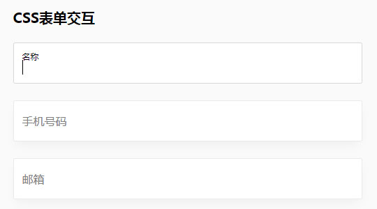 CSS表单交互 输入时候上浮文字提示